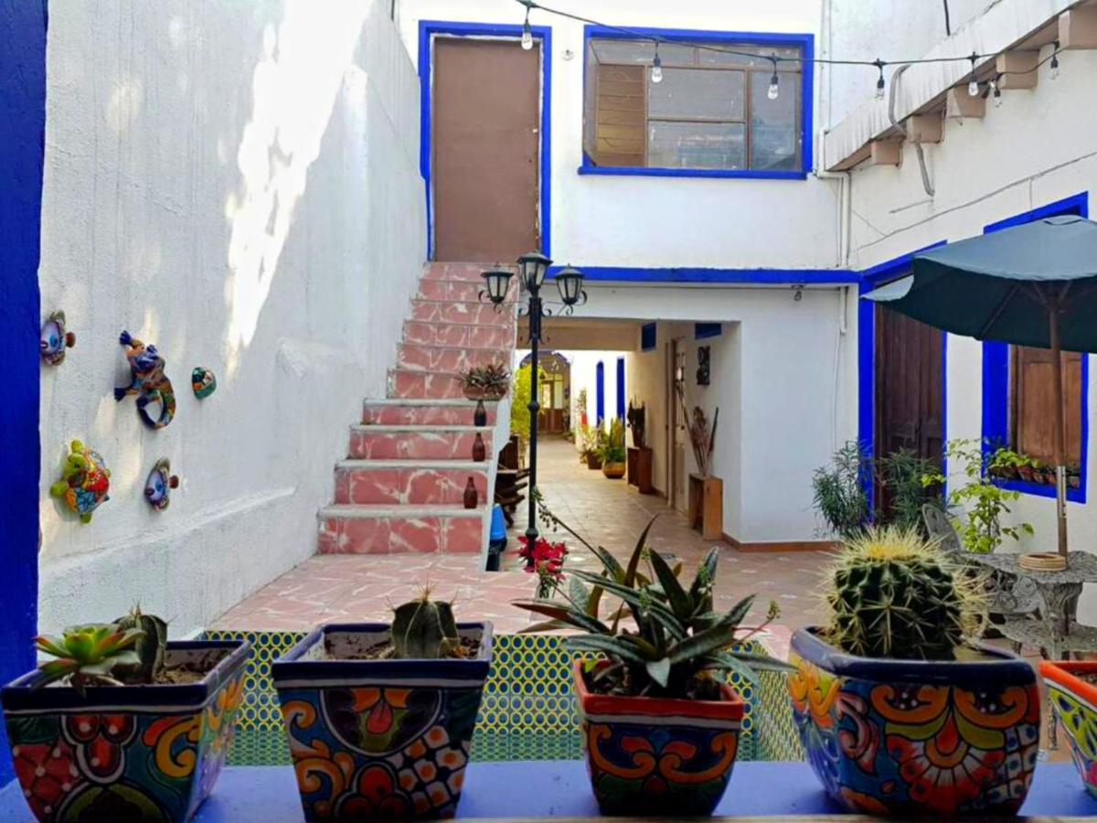 Ikali Hostel Μοντερέι Εξωτερικό φωτογραφία