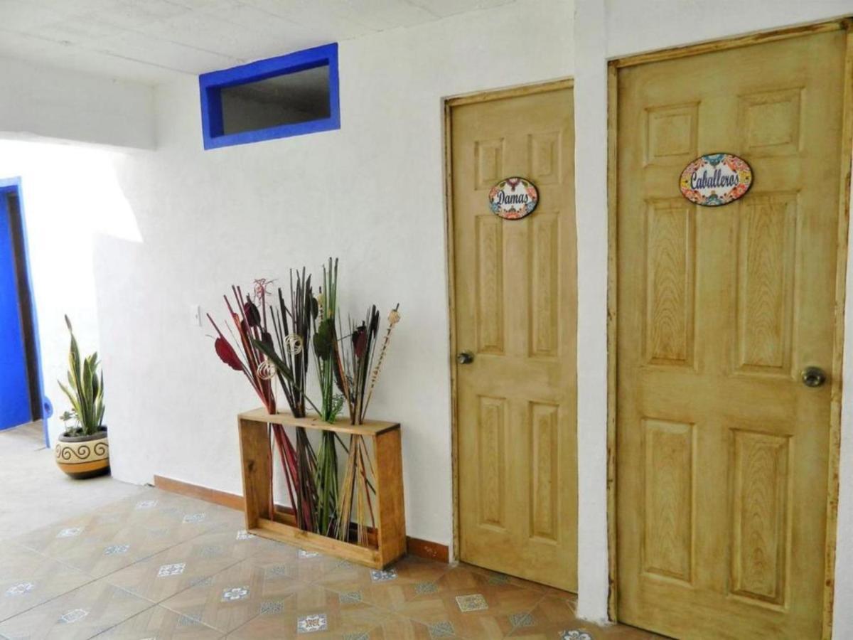Ikali Hostel Μοντερέι Εξωτερικό φωτογραφία